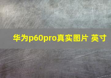 华为p60pro真实图片 英寸